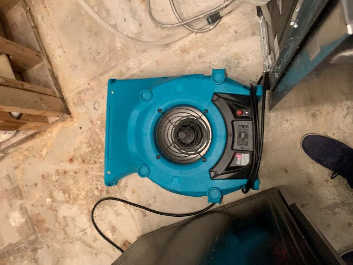 Air mover drying equipment for Mold Remediation & Removal in Newport News