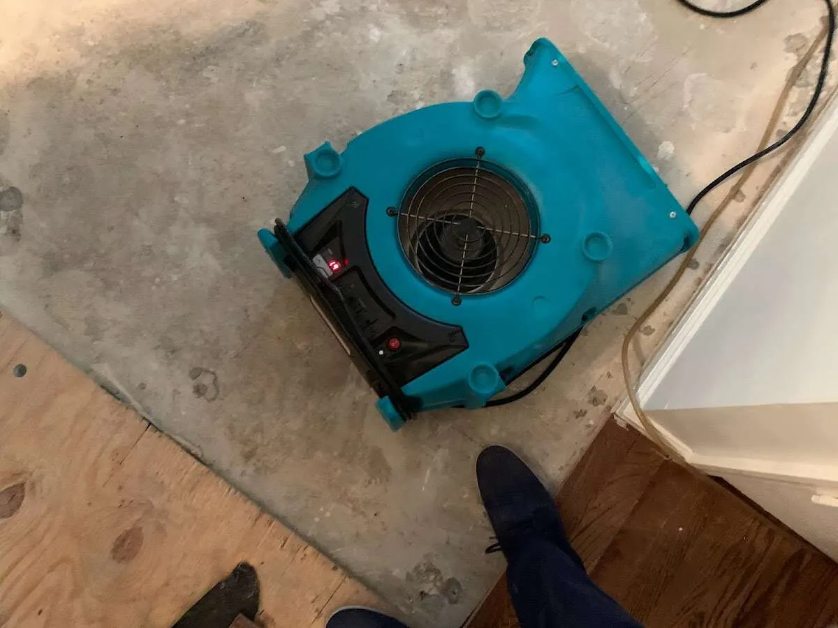Air mover drying subfloor during Commercial Water Damage Restoration in Newport News